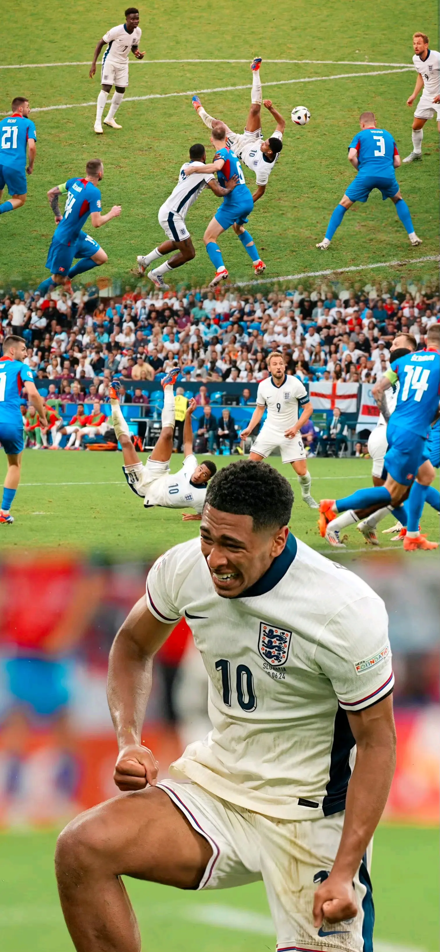 开云体育登录-包含荷兰队-战胜贝宁，晋级世界杯的词条