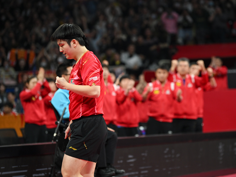 法国队横扫中国队,马琳统治全场 法国队横扫中国队,马琳统治全场