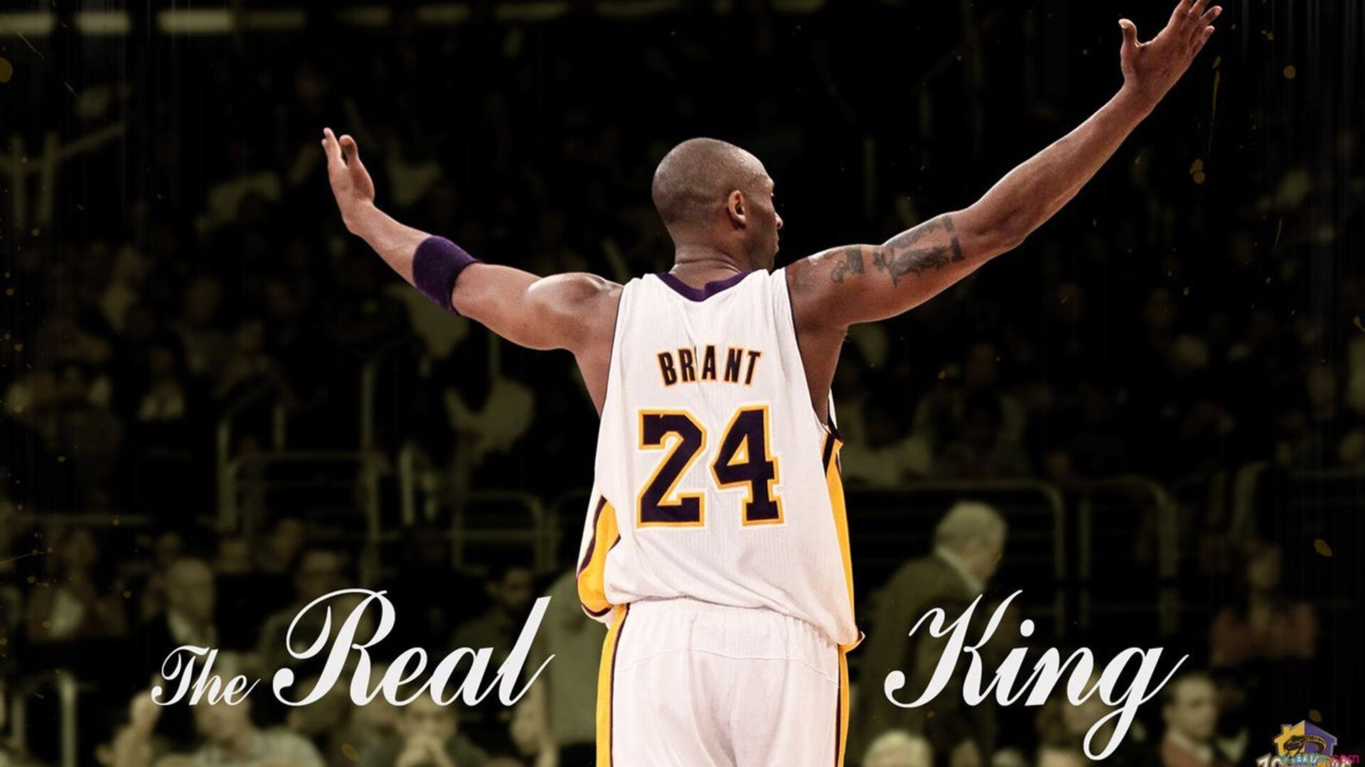 北欧神话破灭日，银弧许昕动维也纳